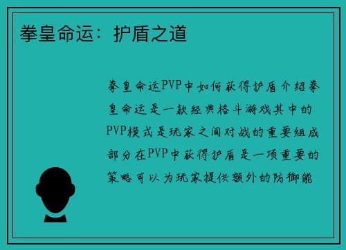 拳皇命运：护盾之道